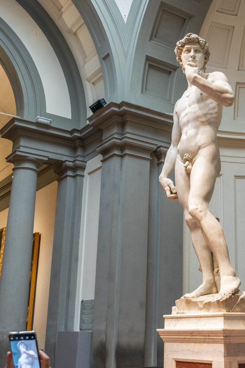 David dans la Galleria della Accademia