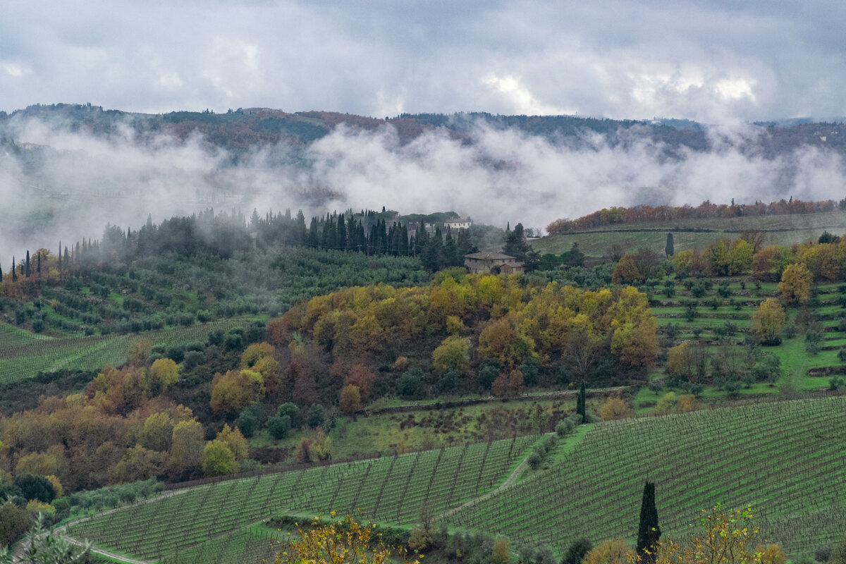 Paysage dans le Chianti en Toscane